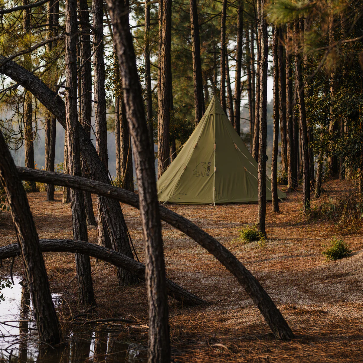 Master the Wild with Nordisk